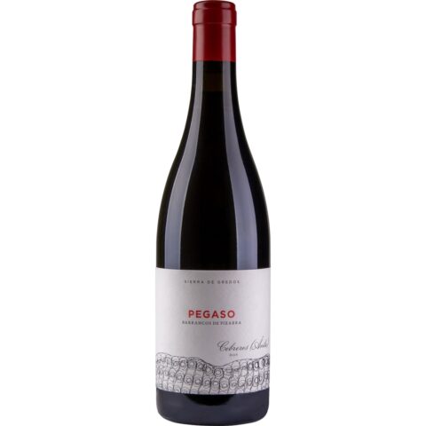 Telmo Rodriguez Pegaso Pizarra