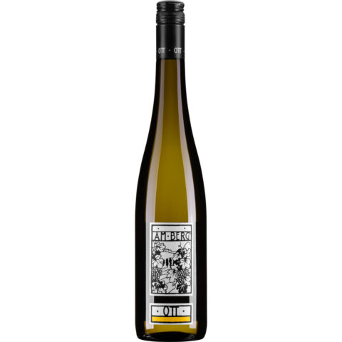 Bernhard Ott Grüner Veltliner Am Berg
