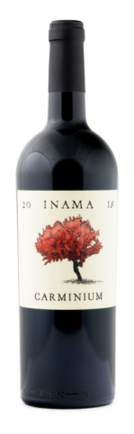 2018 Carminium Colli Berici DOC